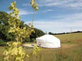 Campsites in North Cornwall